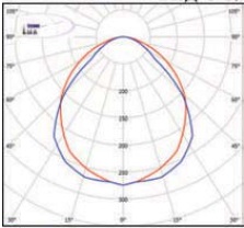  ������ ���� �����